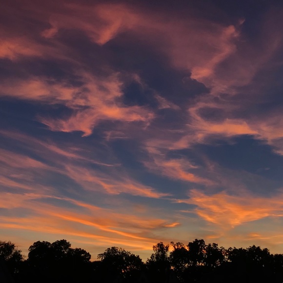 Meet your Posher, Kaylee - Picture 2 of 2